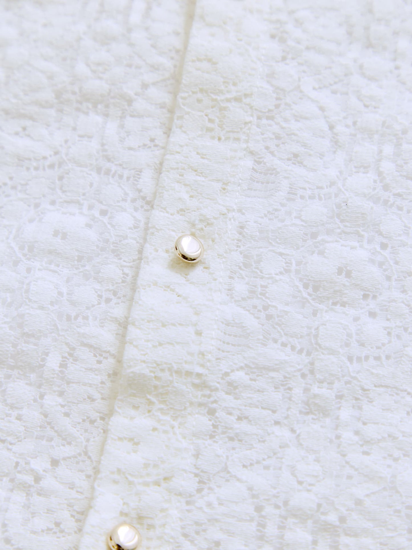 スカラップレーススリーブブラウス　[通常]