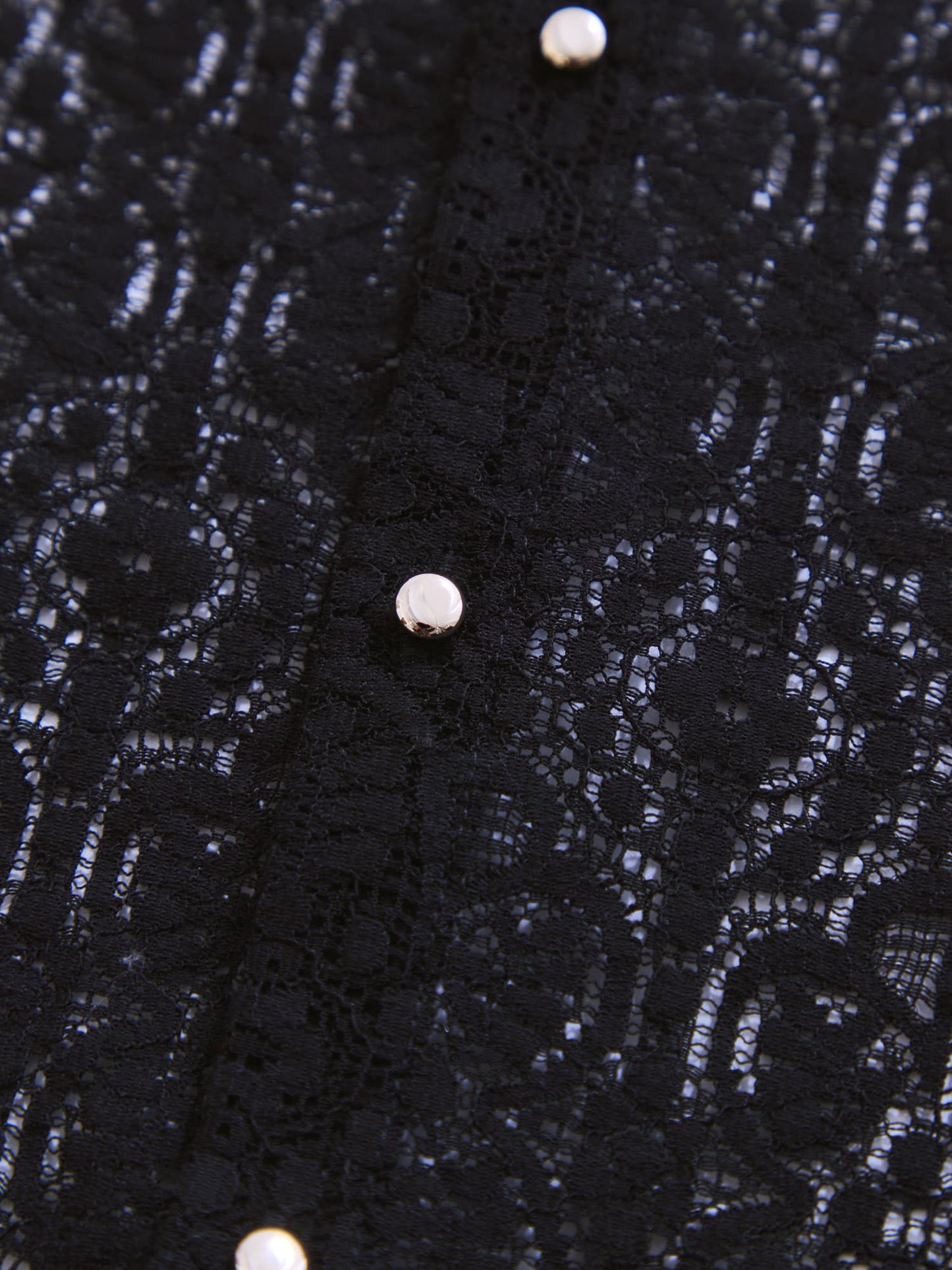 スカラップレーススリーブブラウス　[通常]