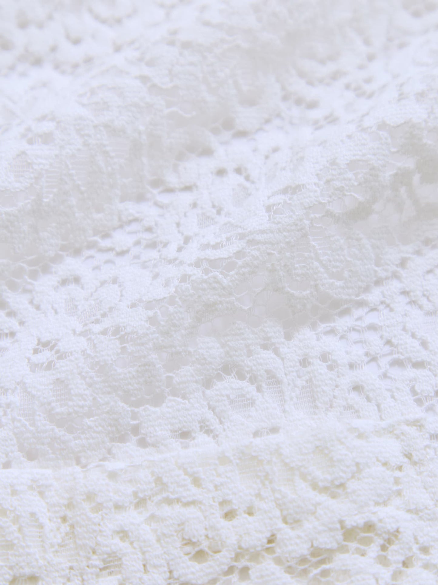 レーステーラードジャケット　[通常]