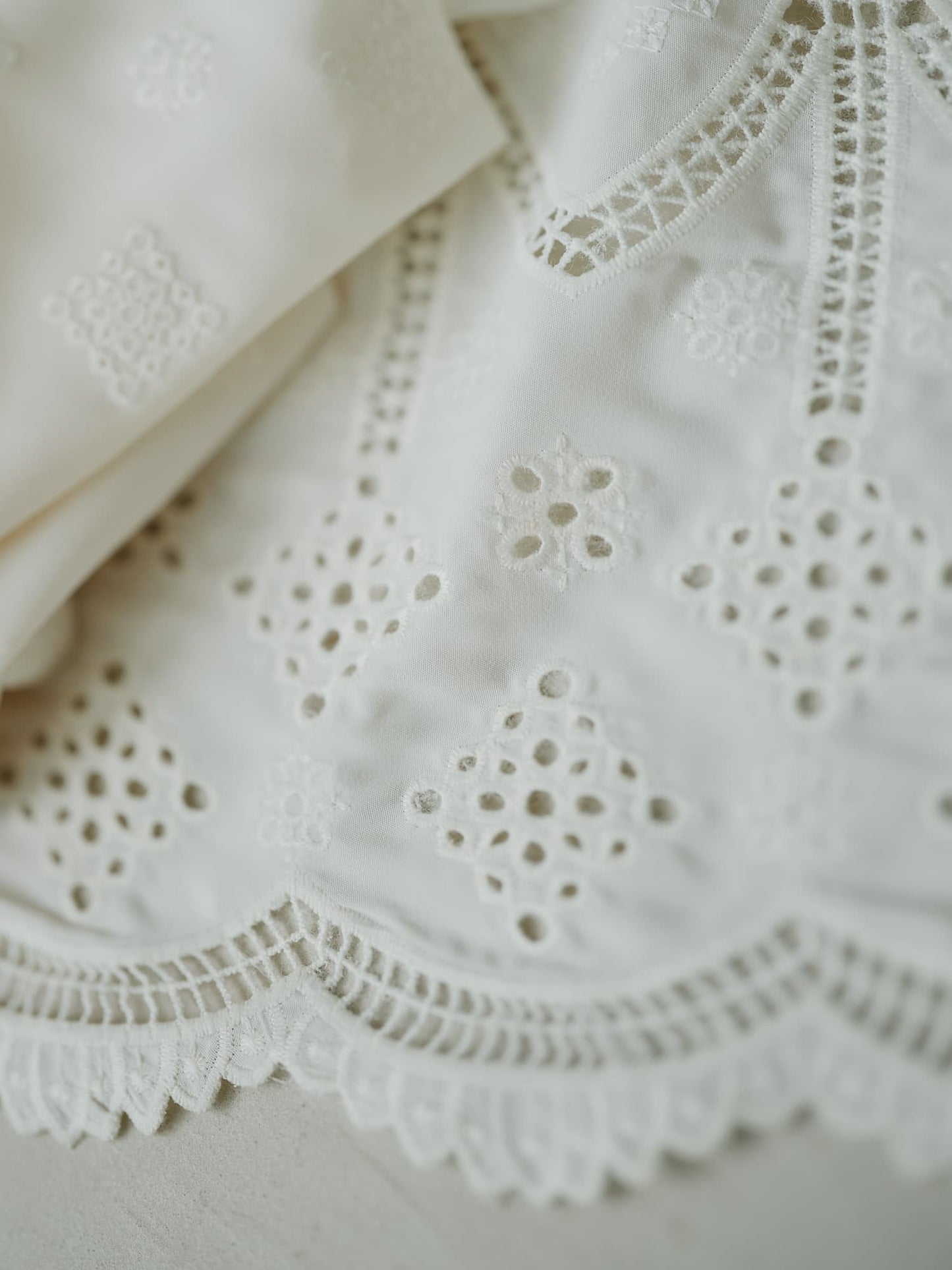 エンブロイダリーリボンスリーブブラウス　[通常]