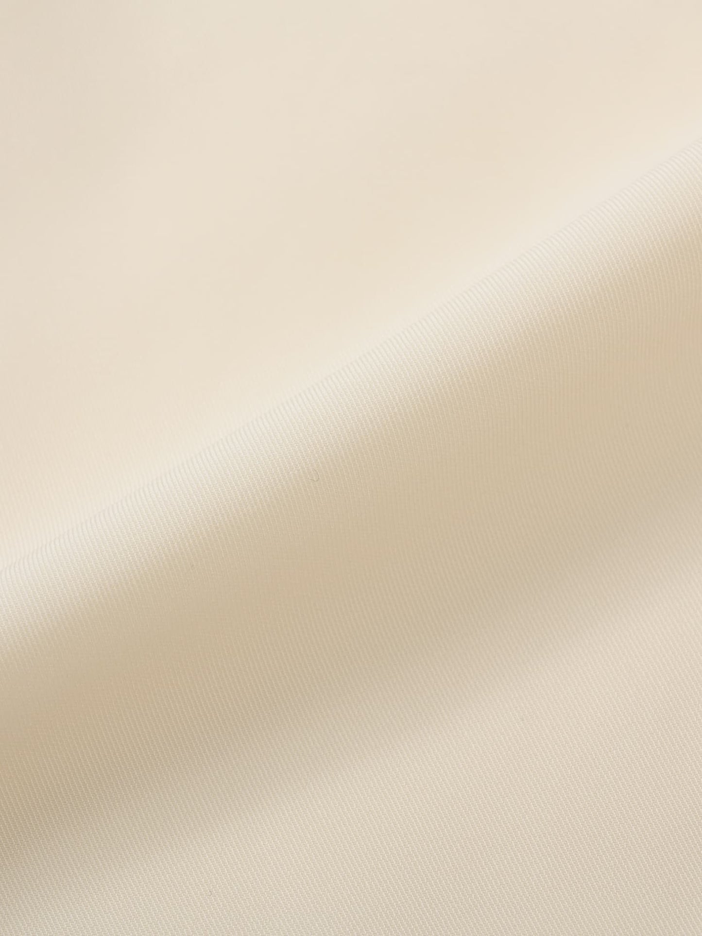 ラッフルカラーデザインブラウス　[通常]