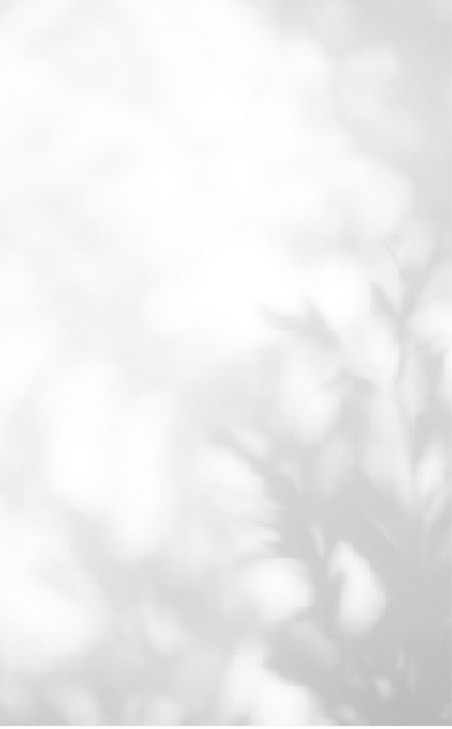 something × COHINA Special Collaboration vol.3