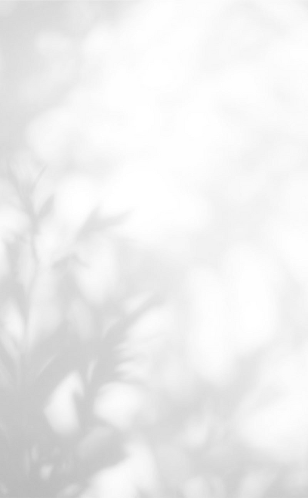 something × COHINA Special Collaboration vol.3