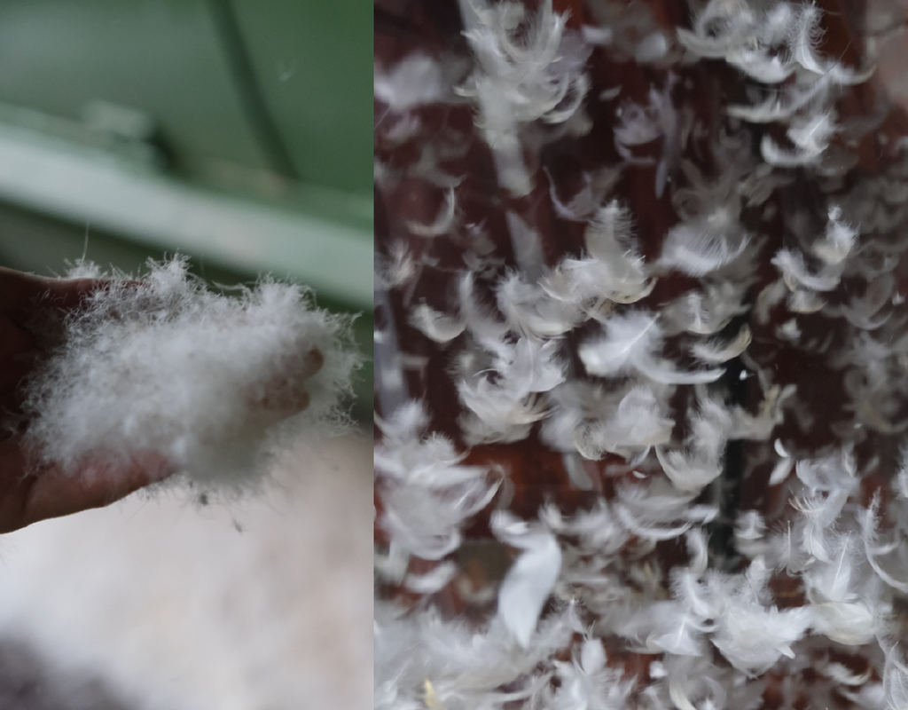 Product by COHINA vol.3 河田ダウン