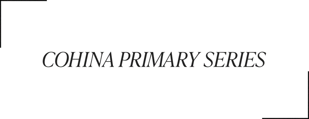 COHINA PRIMARY vo1, COHINA スタンダードシャツ