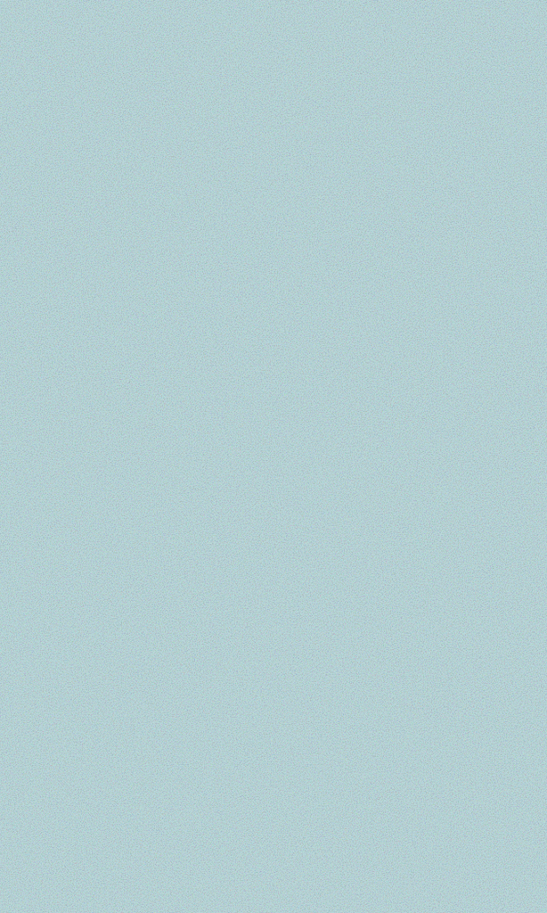 COHINA PRIMARY vol4, ベーシックラミーシャツ