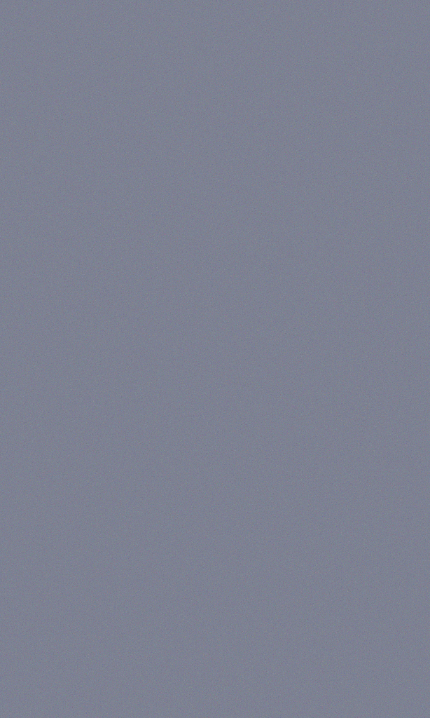 COHINA PRIMARY vo1, COHINA スタンダードシャツ